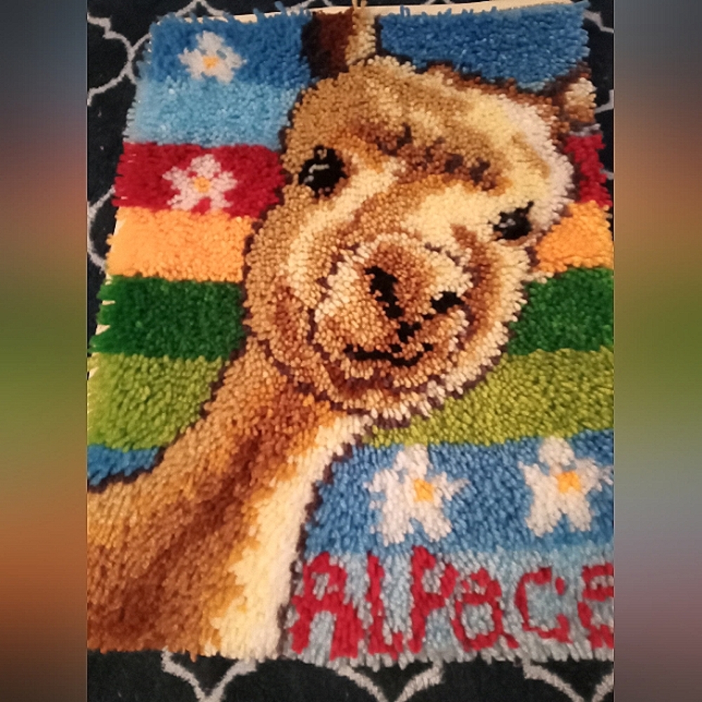 Latch Hook Rug craft